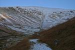 Comb Gill.