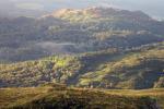 Tilberthwaite mine workings.