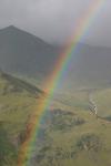 Catstycam beyond the rainbow.
