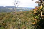 Witherslack Woods.