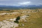 Distant Fairfield and Red Screes.