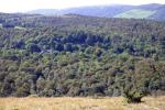 Whitbarrow by Geoff Taylor