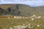 High Street from the top of Harter Fell.