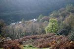 Looking down to Yew Tree Tarn from track up through Guards Wood.