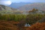 Langdale Pikes in the distance.