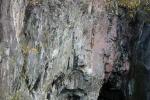 Hodge Close Quarry.