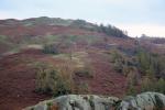 Black Fell ahead.