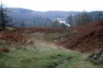 The descent from Black Fell with Tarn Hows in distance.