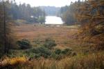 Holme Fell and Black Fell Page 3 by Geoff Taylor