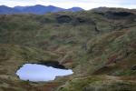 Codale Tarn.