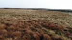 Looking back to Tarn Rigg Hill.