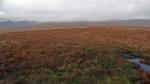 West Baugh Fell Tarn just visible through the hill fog.
