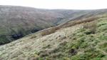 Rawthey Gill.