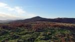Beacon from Tottle Bank.