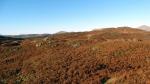 From Slatestone Fell.