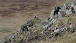 Rockpool Buttress walk.