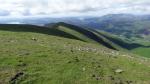 Looking down the ridge to Great Rigg.