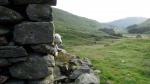 Grisedale.