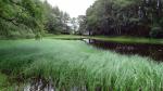 Lanty's Tarn.