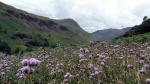 Back down towards Grisedale.