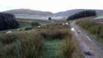 Bowderdale walk.