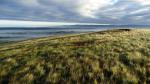 From West Fell.