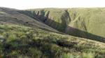 Little Nevy Gill from Combs.