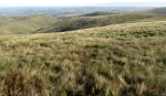 From Simon's Seat, looking back down to Combs.
