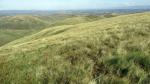Down to Docker Knott.