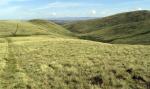 Docker Knott ahead.