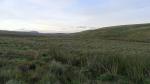 Penyghent in the far distance.