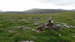 Whernside from Wold Fell top.