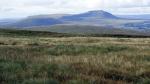 Ingleborough.