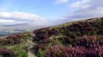 Humphrey Bottom.