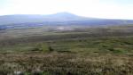 Heading for the limestone pavement below.