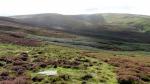 From Long Bank looking back up to Calf Top.