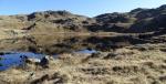 Stony Tarn.
