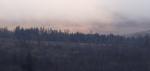 Ulpha Park Forest.