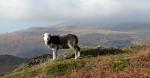 From Little Stickle.