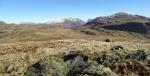 The Scafells and Harter Fell from White How.