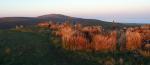 Stoneside Hill walk.