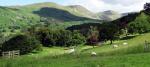 Rydal Park.