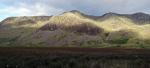 Great Moss.