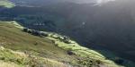 Boredale from High Dodd.