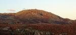Great Stickle catching the last of the sun.